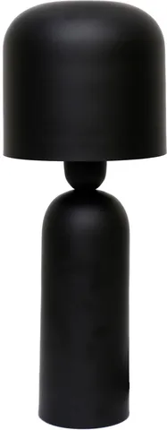 Echo Lamp Wine