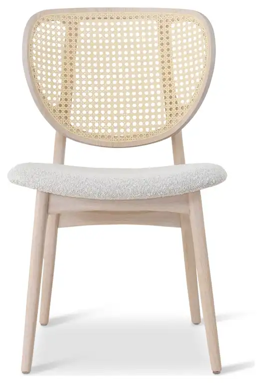Joelma Nevoa Frame Cane Side Chair