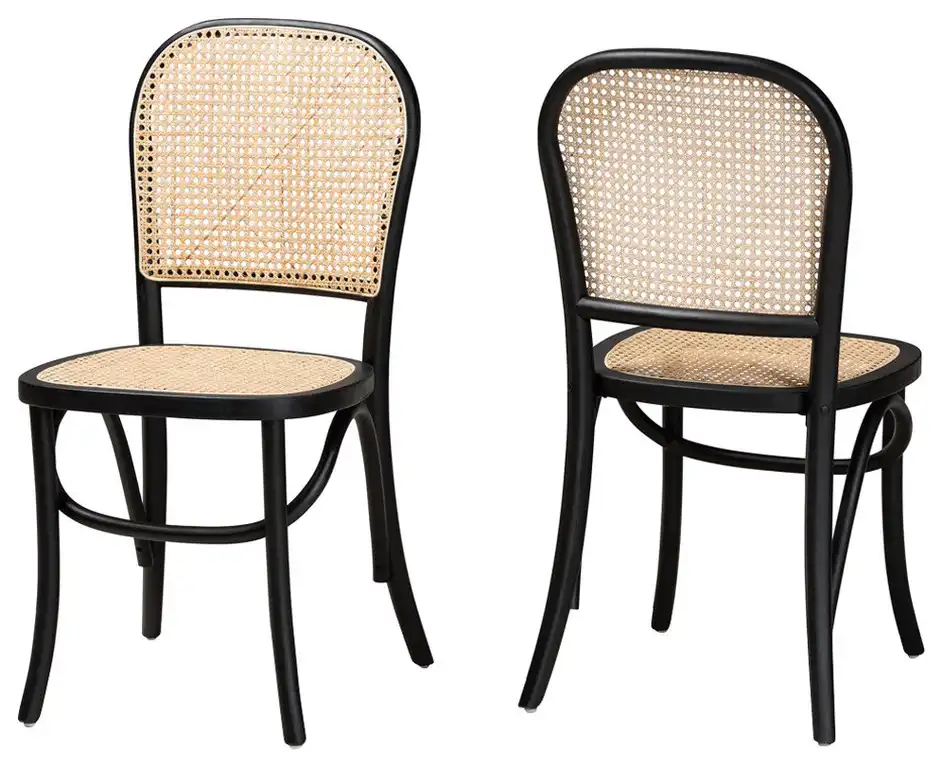 Jolyn Mid-Century 2-Piece Dining Chairs, Black