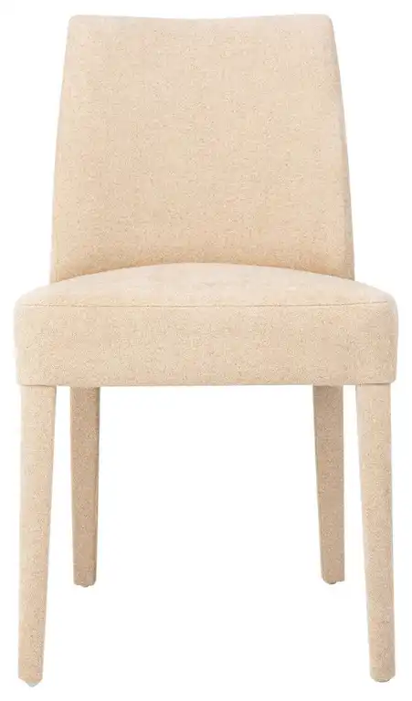 Modern Contemporary Upholstered Vintage Dining Chair, Set of 2