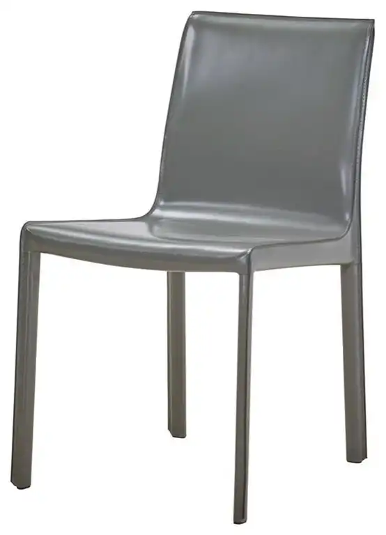 New Pacific Direct Gervin 18.5" Recycle Leather Chair in Gray (Set of 2)