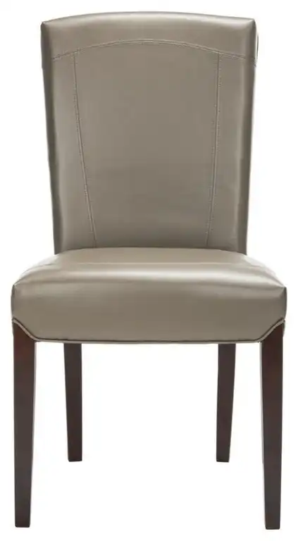 Rudy 19''h Leather Side Chair (set Of 2) Clay