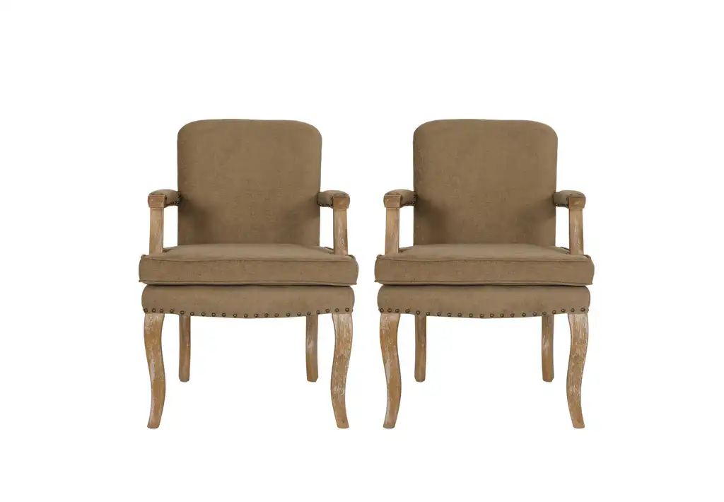 Tim Fabric Dining Arm Chairs With Nailhead Trim, Set of 2, Dark Beige and Natural, Fabric
